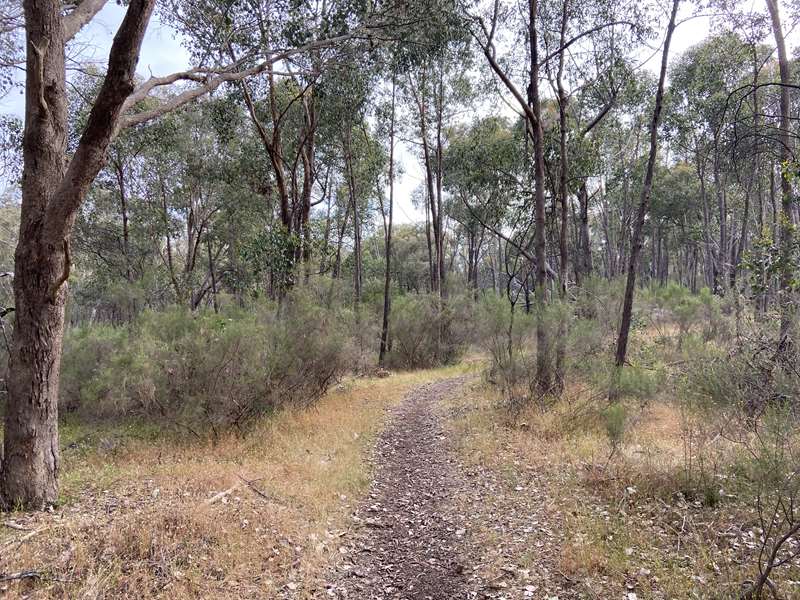 Seymour Bushland Reserve