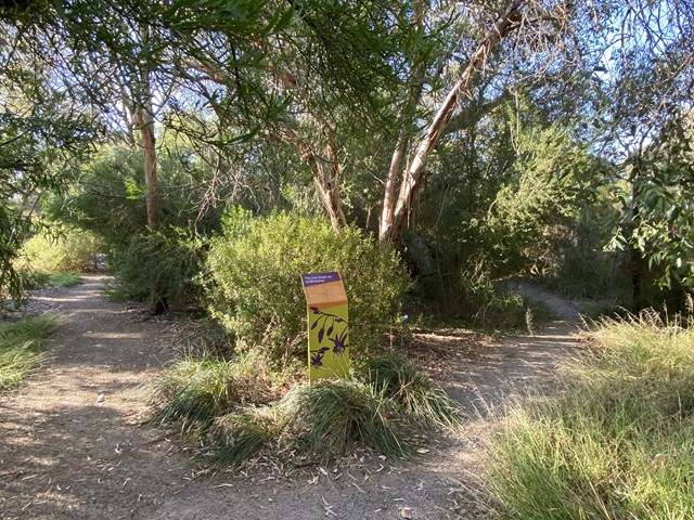 Shepherds Bush Community Garden (Glen Waverley)