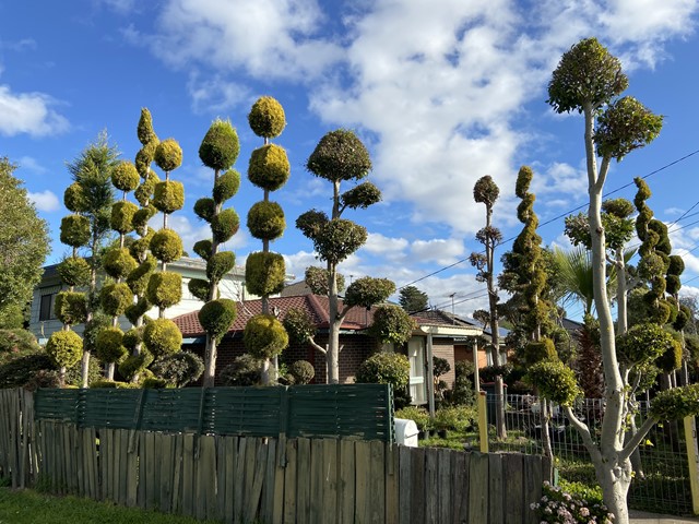 Sheppard Reserve Dog Off Leash Area (Scoresby)