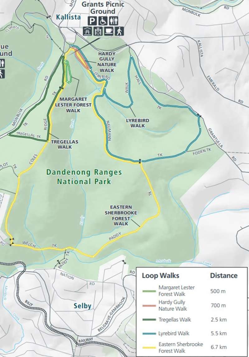 Sherbrooke Forest Grants Picnic Ground Loop Walks Map