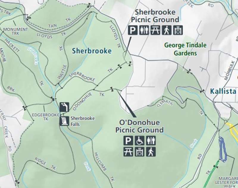 Sherbrooke Forest Walks (Sherbrooke)