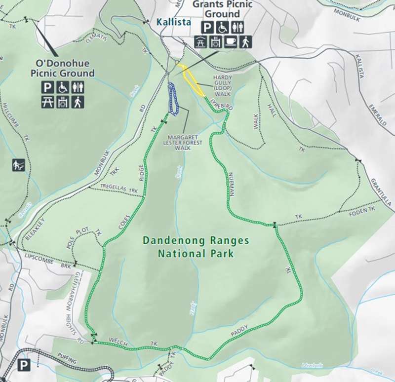 Sherbrooke Forest Walks (Sherbrooke)