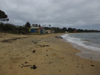 Shire Hall Beach (Mornington)