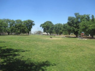 Shore Reserve Dog Off Leash Area (Pascoe Vale South)