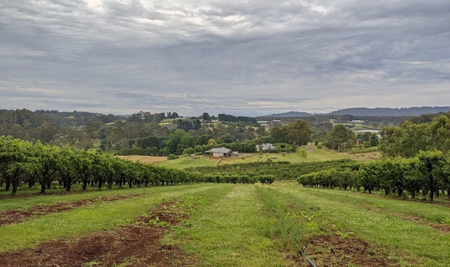 Silvan Cherry and Berry Farm (Silvan)