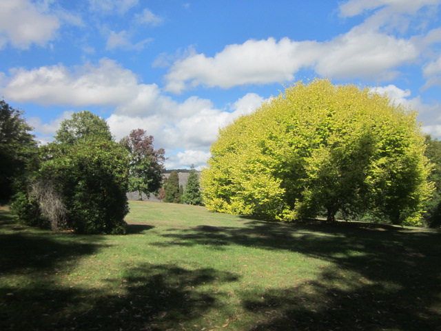 Silvan Reservoir Park (Silvan)