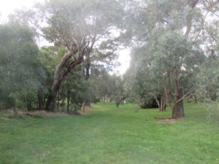 Simpson Park Dog Off Leash Area (Mitcham)