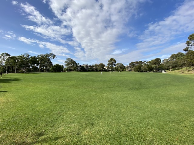 Sir Robert Menzies Reserve Dog Off Leash Area (Malvern)