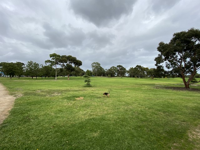 Sir William Fry Reserve Dog Off Leash Area (Cheltenham)