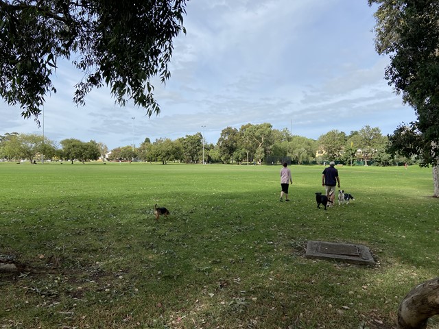 Sir Zelman Cowan Park Dog Off Leash Area (Kooyong)