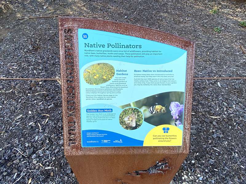 Skeleton Waterholes Creek Walk (Tarneit)