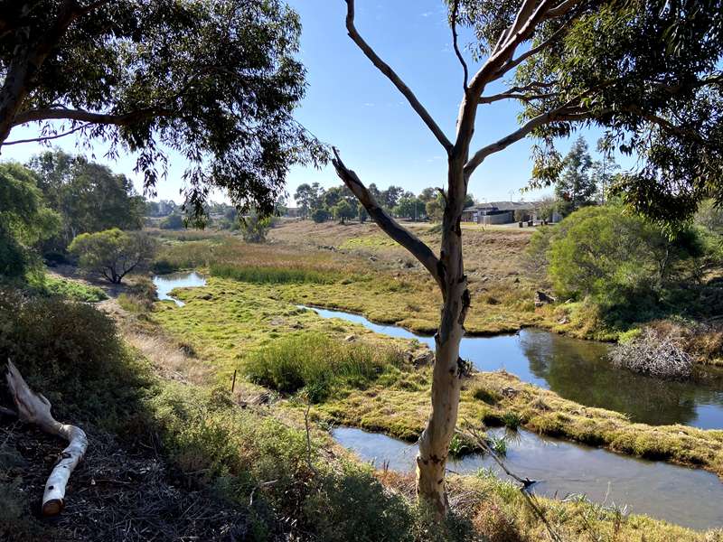 Skeleton Waterholes Creek Walk (Tarneit)