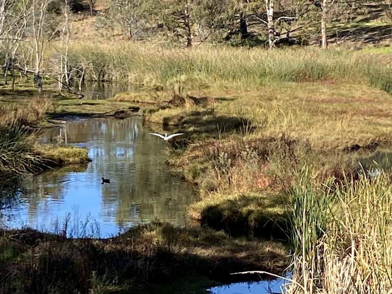 Skeleton Waterholes Creek Walk (Tarneit)