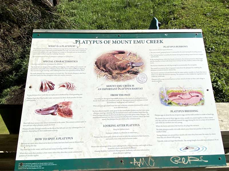 Skipton - Platypus Viewing Platform