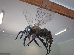 Big Bee Beechworth Honey Experience