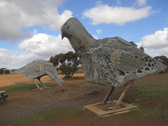 Big Mallee Fowl