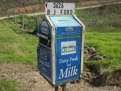 Big Milk Carton