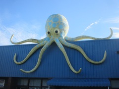 Big Octopus Lakes Entrance