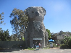 Giant Koala, Dadswells Bridge