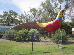 The Big Pheasant, Gumbuya Park, Tynong