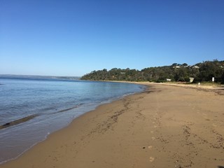 Somers Beach Dog Off Leash West Area (Somers)