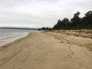 Somers Foreshore Beach (Somers)