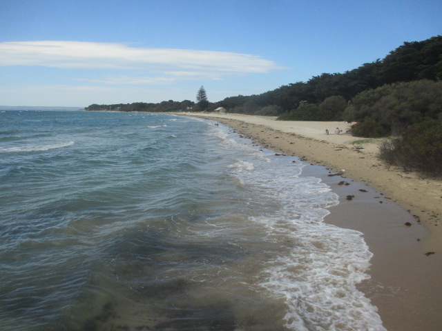 Sorrento Front Beach (Sorrento)