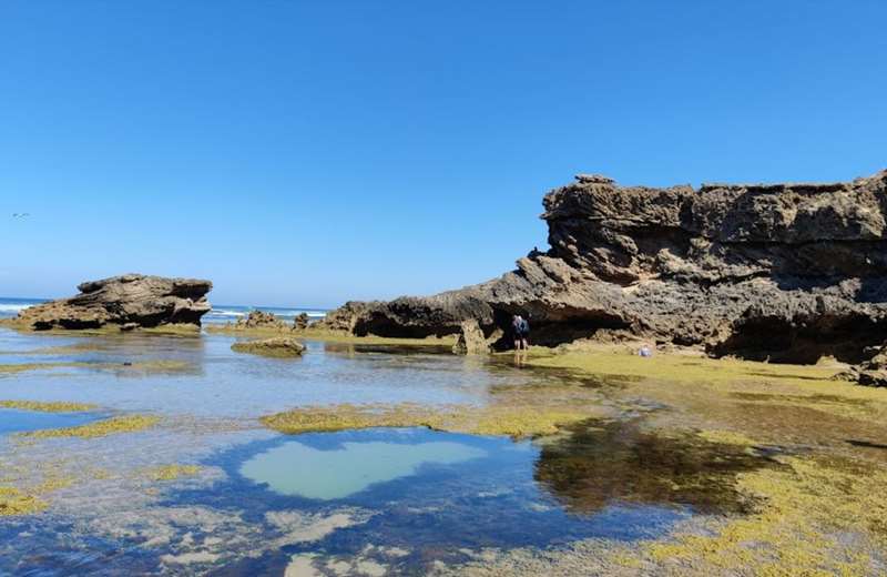 The Best Rockpools in Melbourne and Victoria