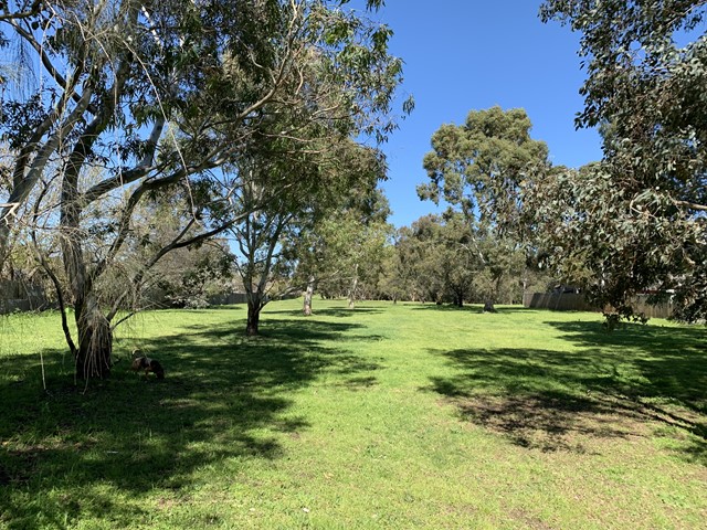 Southern Road Wetland Dog Off Leash Area (Heidelberg West)