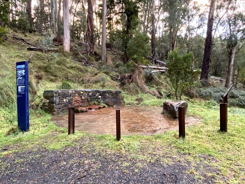 Spargo Creek Mineral Spring