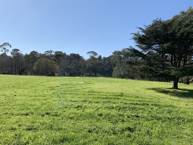 Sparks Reserve Dog Off Leash Area (Ivanhoe)