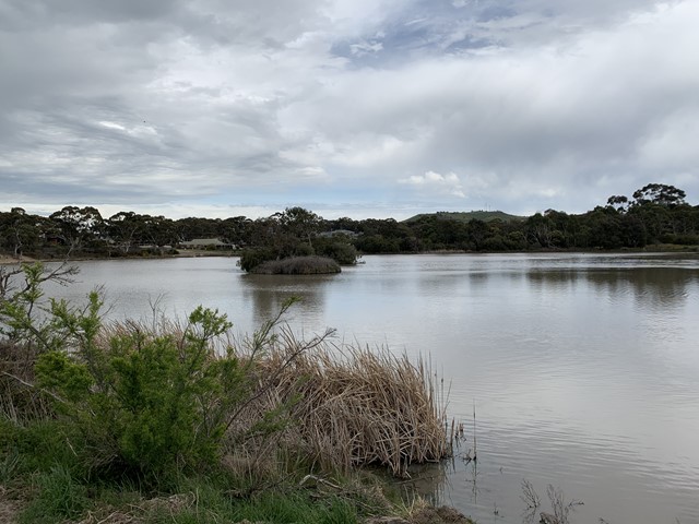 Spavin Drive Lake (Sunbury)