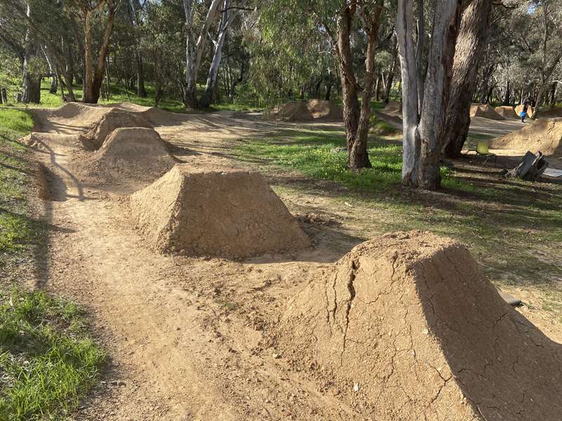 Spring Gully BMX Track (Bendigo)