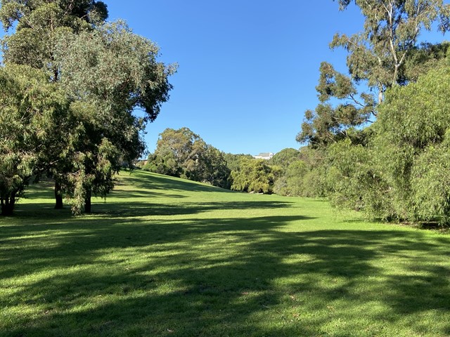 Spring Gully Reserve Dog Off Leash Area (Keilor East)