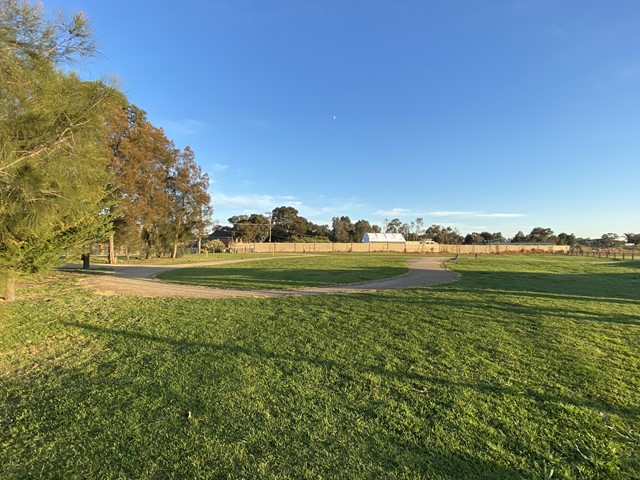 Spring Road Fenced Dog Park (Dingley Village)