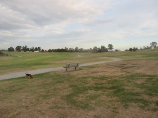 Spring Valley Reserve Dog Off Leash Area (Springvale South)