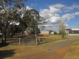 Springvale Reserve Fenced Dog Park (Springvale)