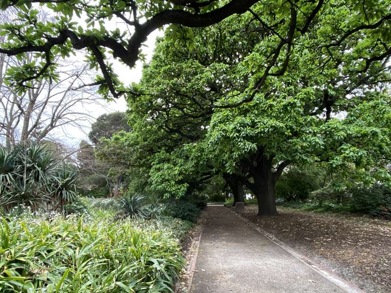 St Vincent Gardens (Albert Park)