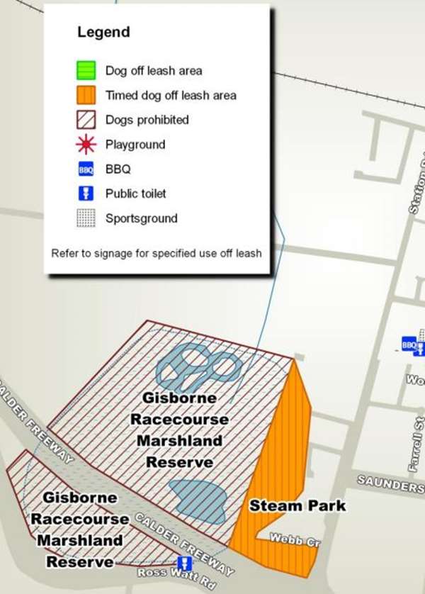 Steam Park Dog Off Leash Area (New Gisborne)