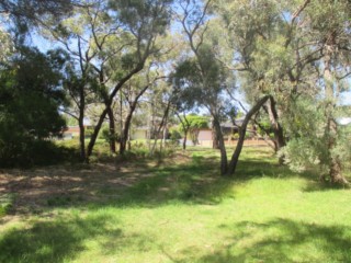 Stevens Road Reserve Dog Off Leash Area (Langwarrin)