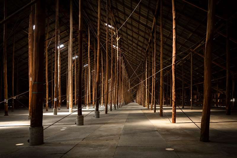 Murtoa - Stick Shed