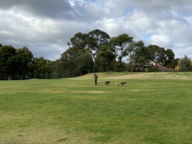 Sumner Park Dog Off Leash Area (Brunswick East)