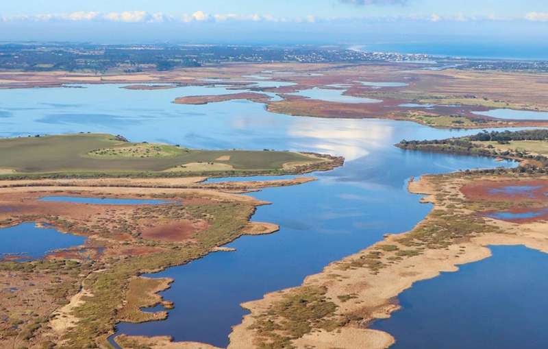 Surf Coast Scenic Flights (Connewarre)