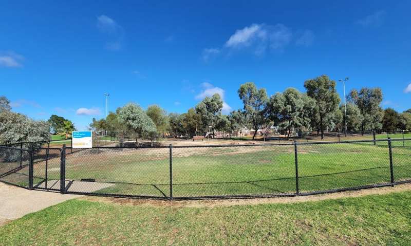 Swan Hill Fenced Dog Park (Steggall Park)