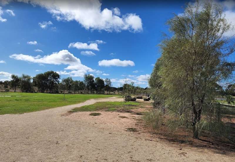 Swan Hill Fenced Dog Park (Steggall Park)