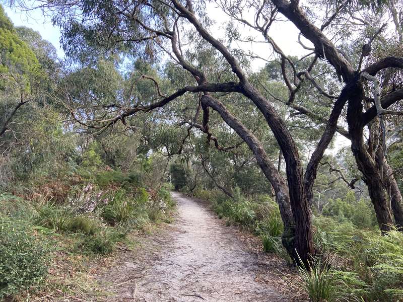 Sweetwater Creek (Upper) Reserve Trail (Frankston South)