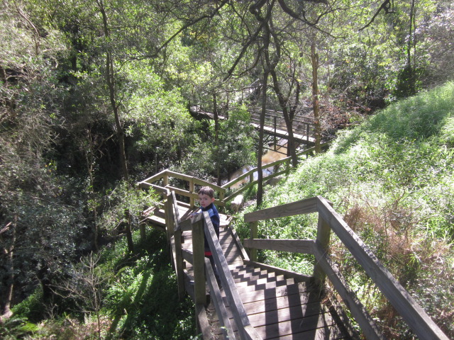 Sweetwater Creek Lower Nature Reserve and Walking Trails (Frankston South)