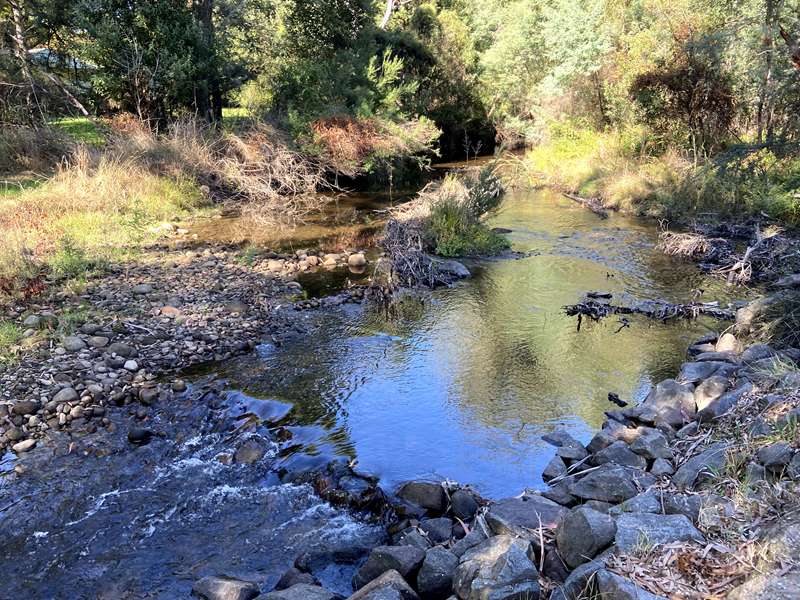 Taggerty Walking Trail