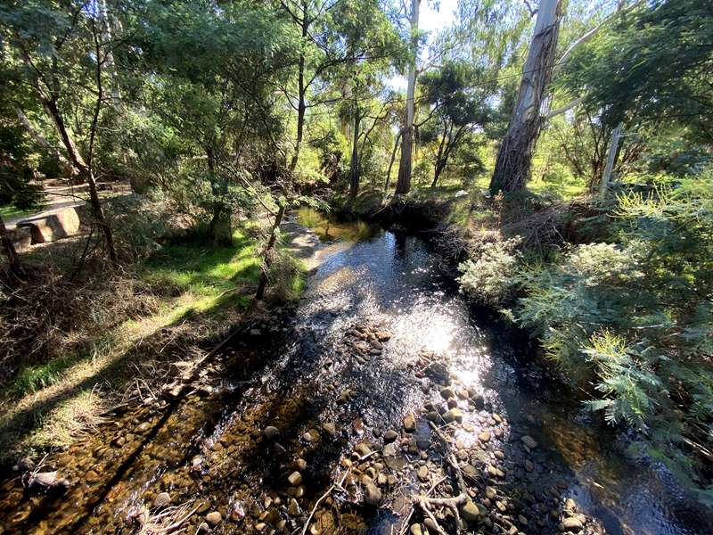 Taggerty Walking Trail