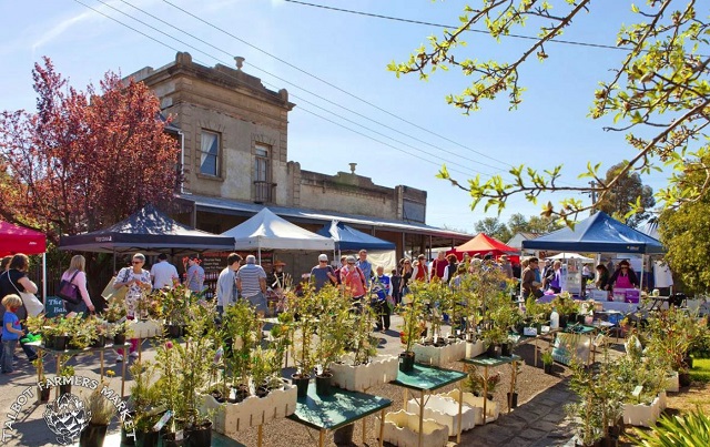 Talbot Farmers Market